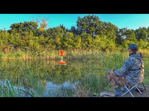 Видео: ЗАБРОСИЛ В ДЕБРИ КАМЫША ПОПЛАВОК, А ТАМ... Сазан, карась, плотва. Рыбалка на поплавок.