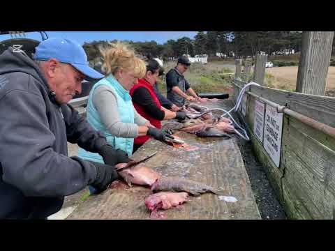 Видео: 3 октября 2025 г.