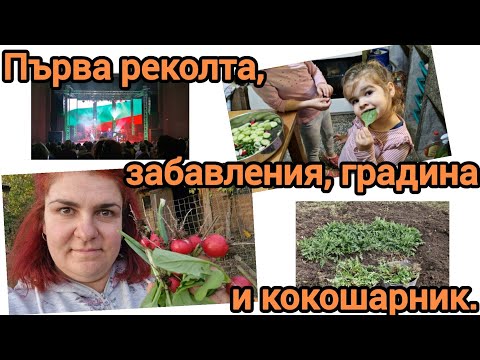Видео: На село: Подготвям се за новите обитатели 🐔 | Ден в градината и малка рецепта от листа на репички 🌿