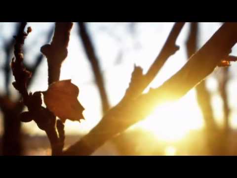 Видео: Потап и Настя Каменских - Чумачечая весна (римейк клип)