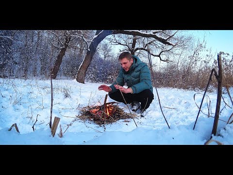 Видео: ИЩУ УЛИТОК!!! ГРЕЮСЬ У КОСТРА!!! ТЕОДОКСУСЫ ЗИМОЙ!!!