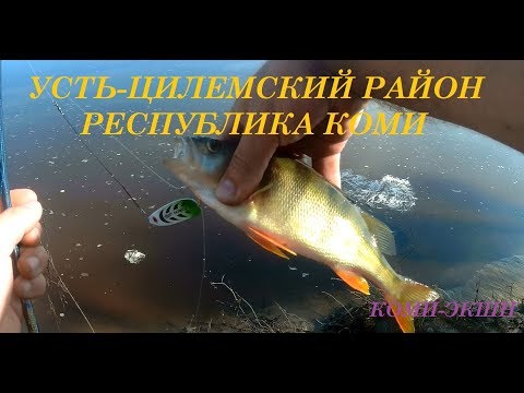 Видео: Усть-Цилемский район. д.Верхнее Бугаево и РЫБАЛКА!!! ИЮЛЬ 2017!!!