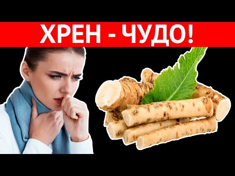 Видео: КОРЕНЬ ВОЗРОЖДЕНИЯ! Всего один кусочек ХРЕНА и организм как Новый. Врачи шокированы!