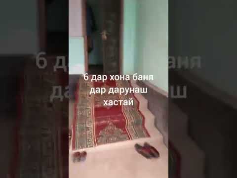 Видео: срочно хонаи фуруши