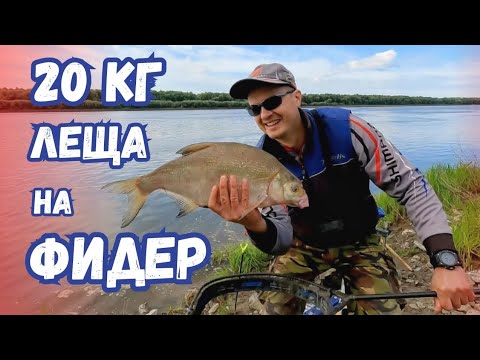 Видео: Рыбалка на реке. Лещ на кукурузу. Фидер 2024. Дунаев Инерт