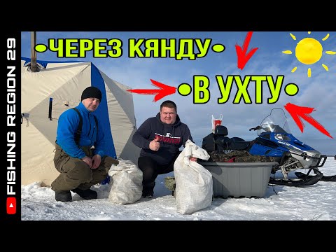 Видео: 🎣Ухта через Кянду.Бешеный клёв корюшки.6марта2023г #ухта