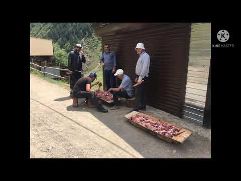 Видео: Гараколоб