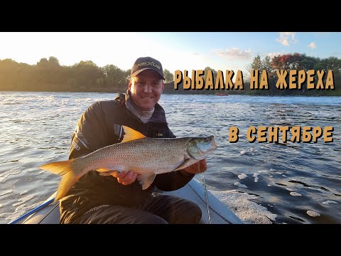 Видео: Рыбалка на жереха в сентябре