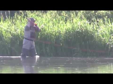 Видео: На реке Быстрая  Сосна | Один на реке