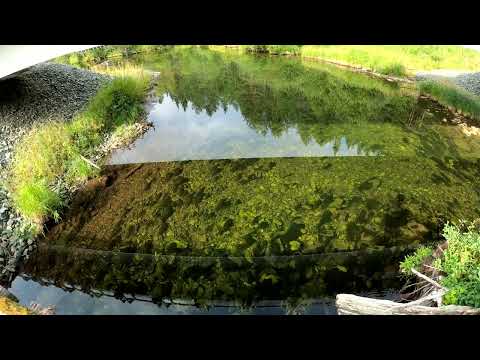 Видео: от Ивделя до базы Ильича