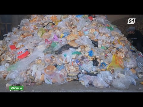 Видео: Тамақ қалдықтары | Экосана