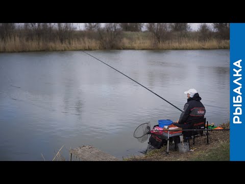 Видео: ВЕДРО карася за ДВА часа. Весенняя рыбалка на маховую удочку