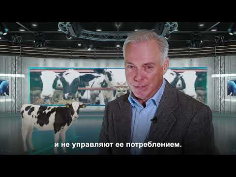 Видео: Какие основные ошибки можно легко исправить?