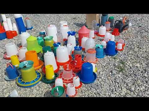 Видео: Улюблений Ринок тварин! Завжди цікаво! #люди #село #автобазар #puppy 