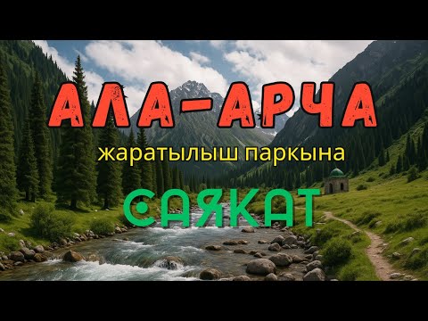 Видео: Бул жерди сөзсүз көрүшүн керек! 😲 Ала-Арча сени күтөт... #алаарча #alaarcha #travelkyrgyzstan