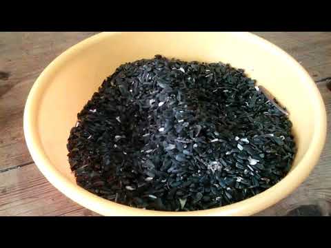 Видео: Обман фермеров на элеваторе. Завышенная сорность подсолнечника.