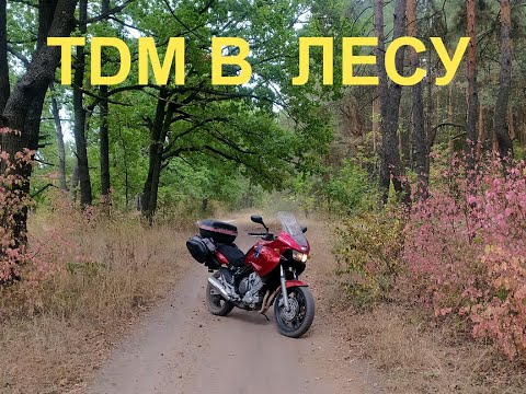 Видео: 🏍 На TDM 850 по лесу 🏍