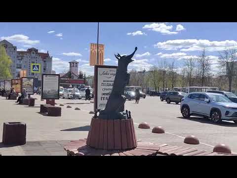 Видео: КИНГИСЕПП(ЛЕНИНГРАДСКАЯ ОБЛАСТЬ)