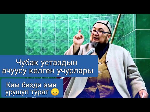 Видео: Чубак устаздын ачуусу келген учурлары ( эми бизди ким урушуп турат 😔)