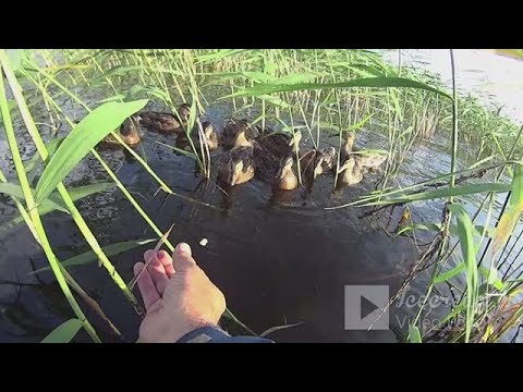 Видео: РЫБКА ПОРАДОВАЛА! РЫБАЛКА УДАЛАСЬ!!!