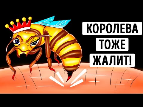 Видео: Правда ли, что укус пчелиной матки опаснее укуса обычной пчелы? (Мы все выяснили)