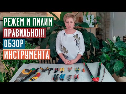 Видео: СЕЗОН 2020: ОБЗОР ИНСТРУМЕНТА ДЛЯ ОБРЕЗКИ САДА / Садовый гид