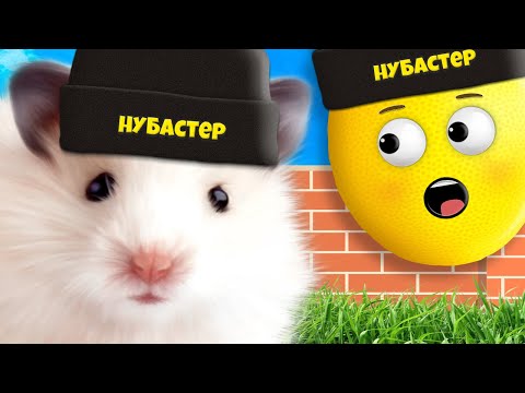 Видео: Я СТАЛ ХОМЯКОМ В РОБЛОКСЕ! Roblox Нубастер