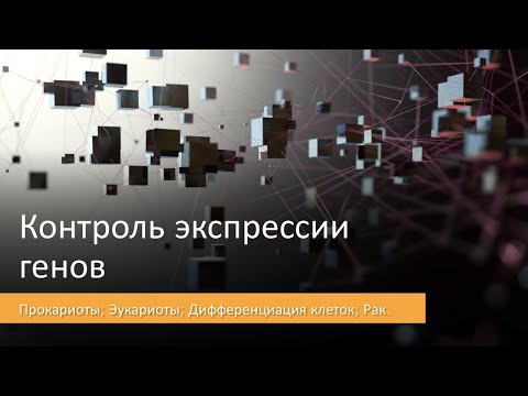 Видео: Контроль экспрессии генов (Часть 1/3)