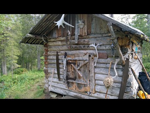 Видео: Путешествие на Кольский. Походная жизнь в Чивруайской избе.