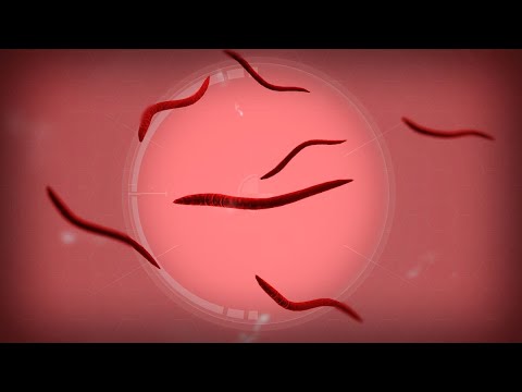 Видео: Прохожу Паразита в Plague inc Evolved