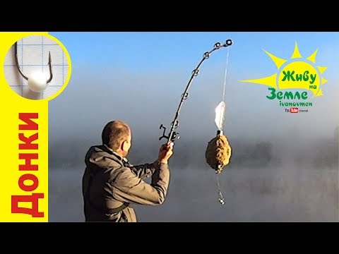 Видео: Утро на красивой реке. Рыбалка на донку Крокодил на пенопласт.