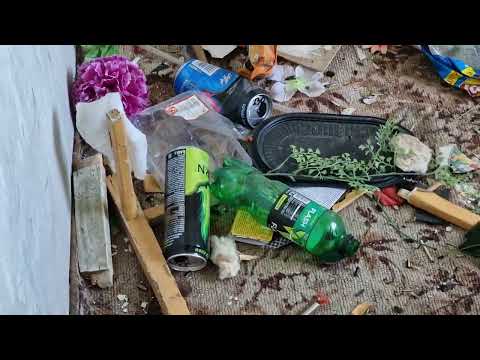 Видео: "Достопримечательности" нашего посёлка.