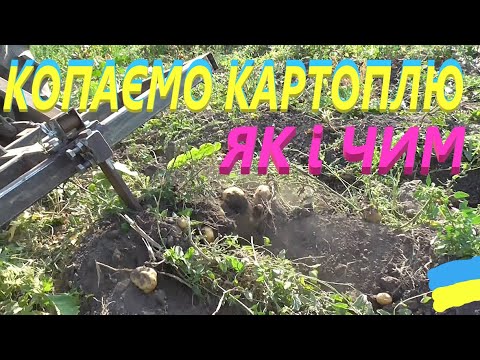 Видео: Копаю картоплю культиваторною лапою #СамСобіПан