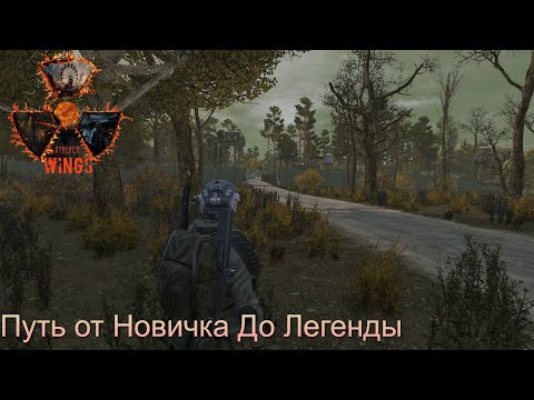 Видео: Day Z Путь От Новичка До Легенды    STALKER PVE WINGS NH3  № 67