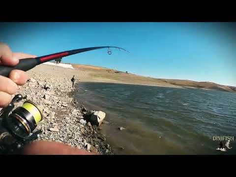 Видео: Утренний выезд за СУДАКОМ 