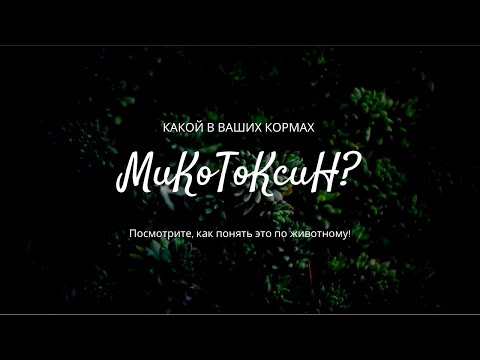 Видео: 5 признаков того, что в корме микотоксины