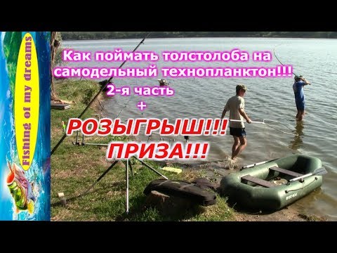 Видео: Как поймать толстолоба на самодельный технопланктон!!!РОЗЫГРЫШ ПРИЗА!!!!