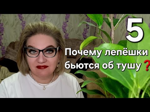 Видео: Почему лепёшки бьются об тушу❓️