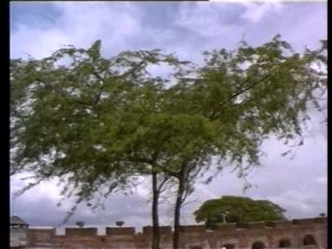 Видео: Светът и всичко в него със СИМЕОН ИДАКИЕВ (19.01.2014г. 2-ра част)