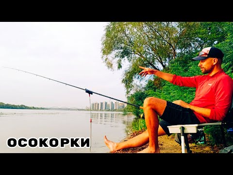 Видео: Пошуки осіннього ЛЯЩА 🐟 Зломаний фідер ⚠️ Мор риби ❓ Рибалка в Києві. #fishing #риболовля #рибалка