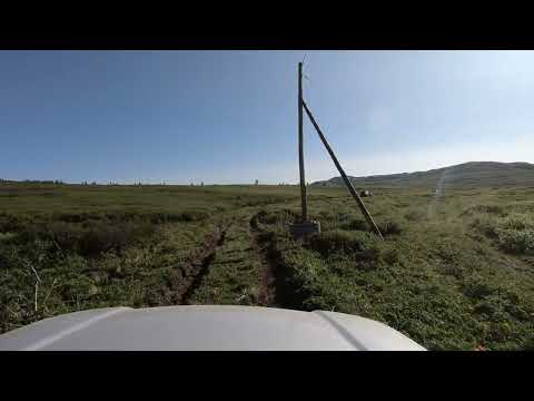 Видео: Перевалы Баханду и Каратеш (Улаганский район, горный Алтай)
