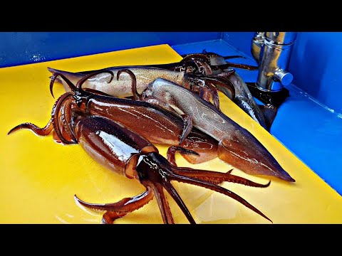 Видео: Тема кальмаров, кальмаров сашими, сырые блюда из кальмаров, LiveFishTV