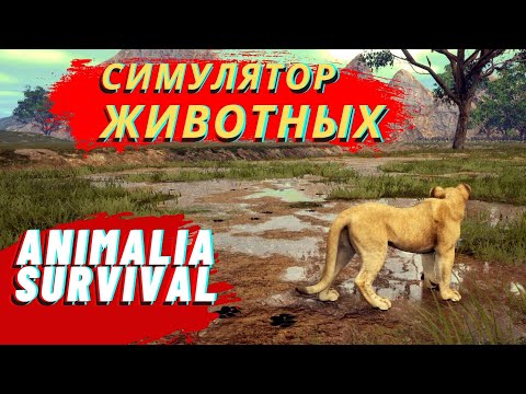 Видео: СИМУЛЯТОР ЖИВОТНЫХ Animalia Survival  ДИКИЕ КОШКИ ЛЕВ И ЛЕОПАРД