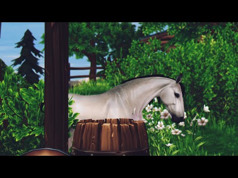 Видео: Star Stable online #296 - Покупка Американской Верховой