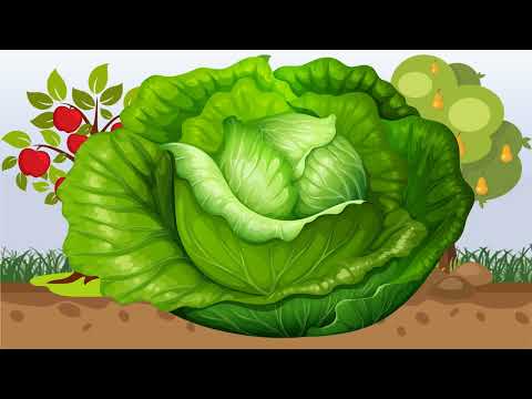 Видео: Овочі та фрукти (природне довкілля, молодша та середня групи)