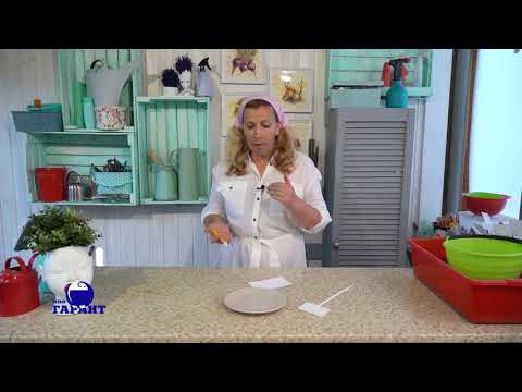 Видео: Как бороться с муравьями при помощи геля? Эффективные Средства от муравьев. Видеообзор