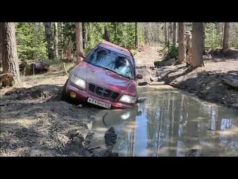 Видео: Манская петля 2/2. Спасение утонувшего в грязи Форестера.