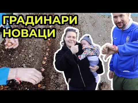 Видео: Първата ни зеленчукова градинка - Ето какво насяхме!