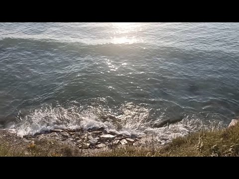 Видео: победит любовь (к морю)