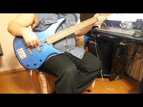 Видео: Дельтаплан - В. Леонтьев Bass cover